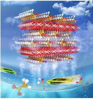 editor1527080480979401.jpg 1.jpg