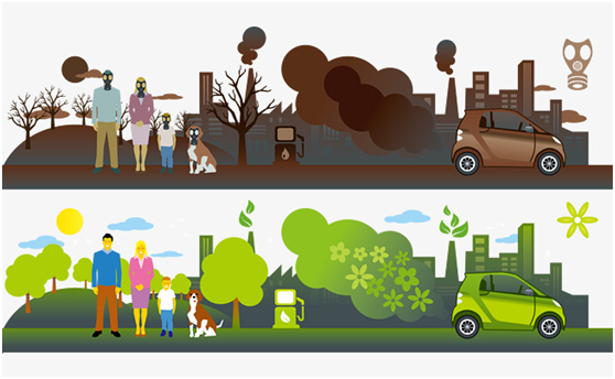 editor1527421169836599.png 1.png