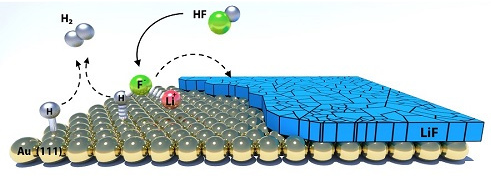 editor1527668929918659.png 1.png