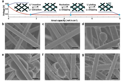 editor1529503103664697.jpg 1.jpg