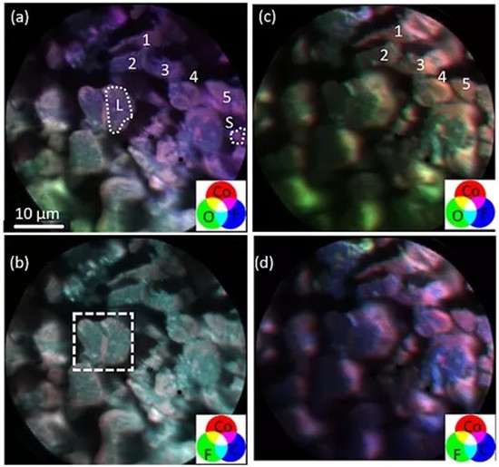 editor1532335191494480.png 31.png