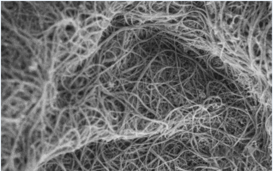 editor1532613330213010.png 1.png