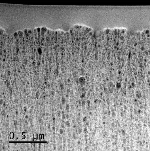 editor1533025598425628.jpg 22.jpg